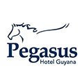 Pegasus Hotel Guyana